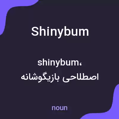 معنی shiny bum به فارسی معنی shiny bum به فارسی