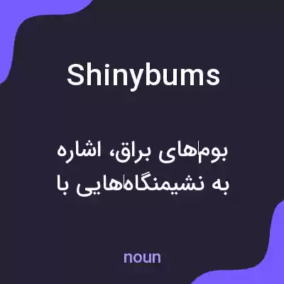 معنی shinybums به فارسی معنی shinybums به فارسی