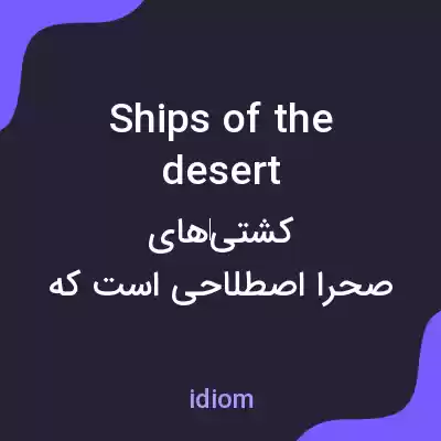 معنی ships of the desert به فارسی معنی ships of the desert به فارسی