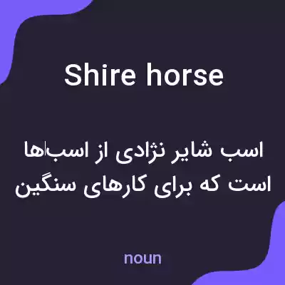 معنی shire horse به فارسی معنی shire horse به فارسی