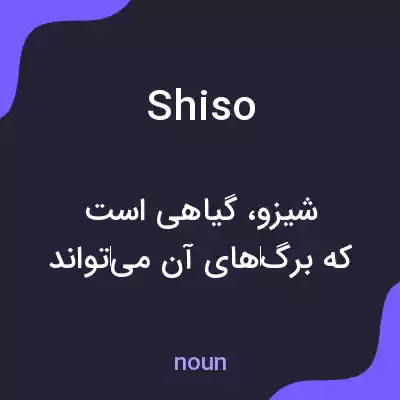 معنی shiso به فارسی معنی shiso به فارسی