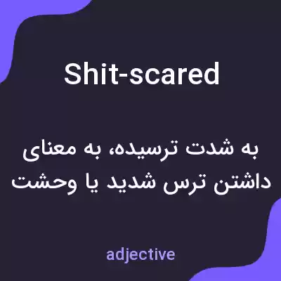 معنی shit-scared به فارسی معنی shit-scared به فارسی
