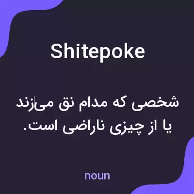 معنی shitepoke به فارسی معنی shitepoke به فارسی