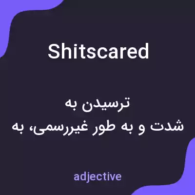 معنی shitscared به فارسی