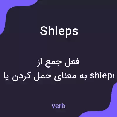 معنی shleps به فارسی