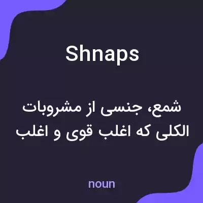 معنی shnaps به فارسی