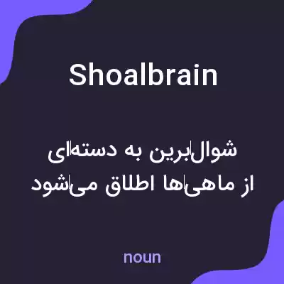 معنی shoalbrain به فارسی معنی shoalbrain به فارسی