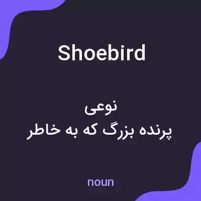 معنی shoebird به فارسی معنی shoebird به فارسی