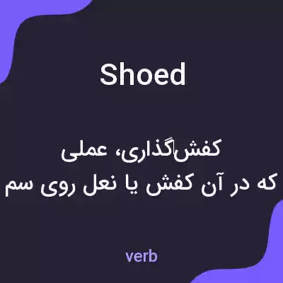 معنی shoed به فارسی معنی shoed به فارسی