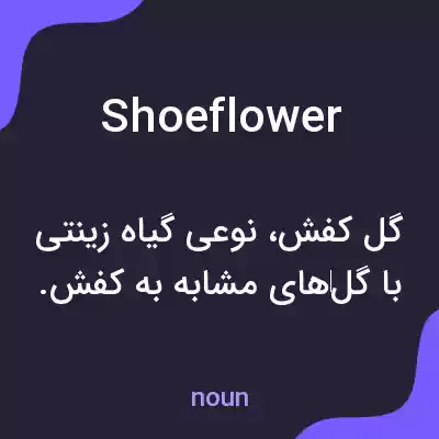 معنی shoeflower به فارسی معنی shoeflower به فارسی