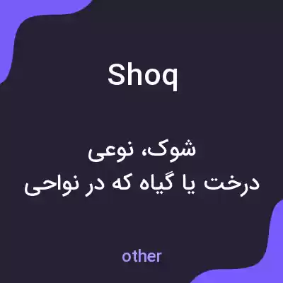 معنی shoq به فارسی معنی shoq به فارسی