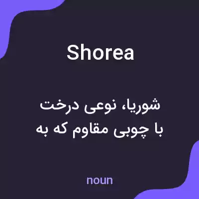 معنی shorea به فارسی معنی shorea به فارسی