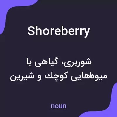 معنی shoreberry به فارسی معنی shoreberry به فارسی