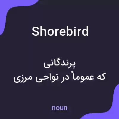 معنی shorebird به فارسی معنی shorebird به فارسی
