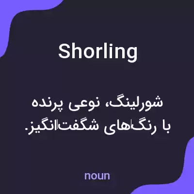 معنی shorling به فارسی معنی shorling به فارسی