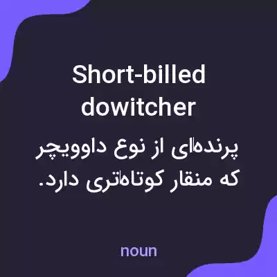 معنی short-billed dowitcher به فارسی معنی short-billed dowitcher به فارسی