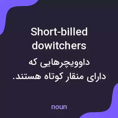 معنی short-billed dowitchers به فارسی معنی short-billed dowitchers به فارسی
