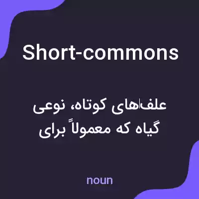 معنی short-commons به فارسی معنی short-commons به فارسی