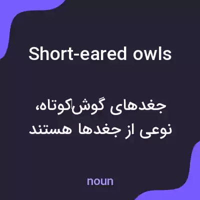 معنی short-eared owls به فارسی معنی short-eared owls به فارسی