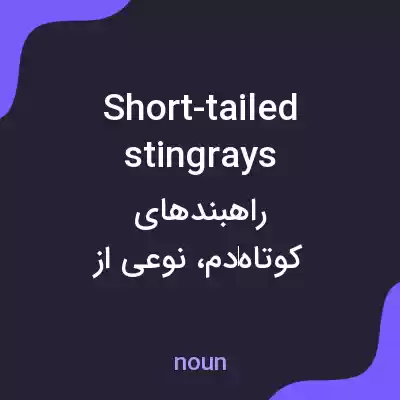 معنی short-tailed stingrays به فارسی معنی short-tailed stingrays به فارسی