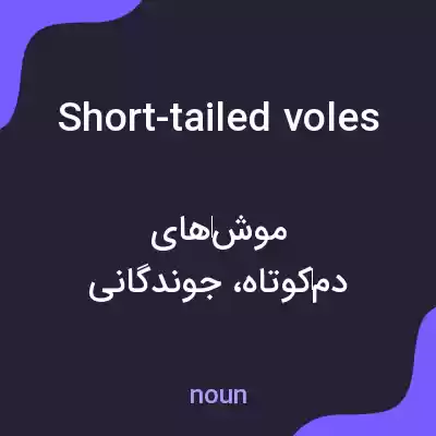 معنی short-tailed voles به فارسی معنی short-tailed voles به فارسی