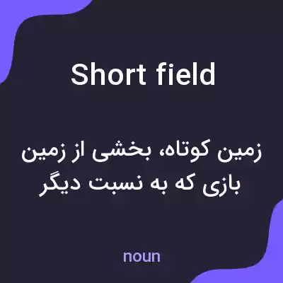 معنی short field به فارسی معنی short field به فارسی