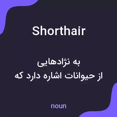 معنی shorthair به فارسی معنی shorthair به فارسی