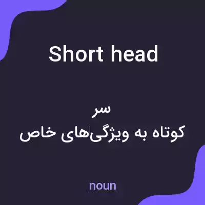 معنی short head به فارسی معنی short head به فارسی