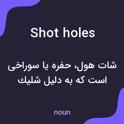 معنی shot holes به فارسی