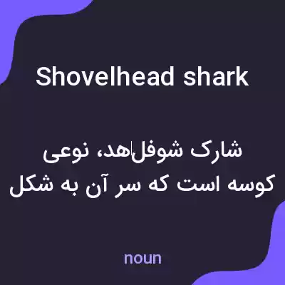 معنی shovelhead shark به فارسی معنی shovelhead shark به فارسی