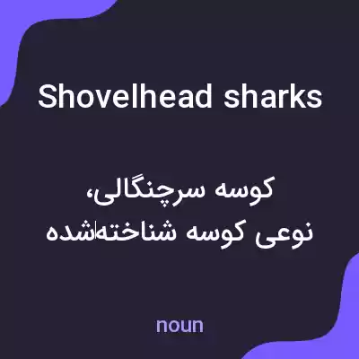 معنی shovelhead sharks به فارسی معنی shovelhead sharks به فارسی