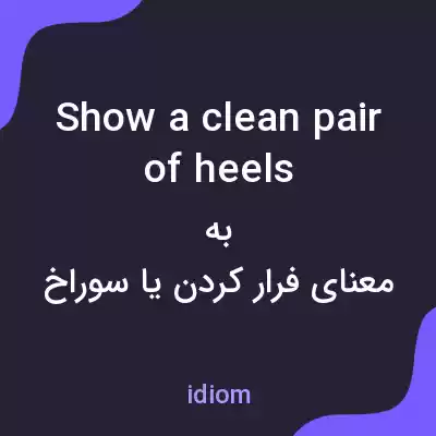 معنی show a clean pair of heels به فارسی معنی show a clean pair of heels به فارسی