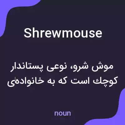 معنی shrewmouse به فارسی معنی shrewmouse به فارسی