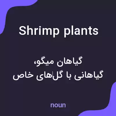 معنی shrimp plants به فارسی معنی shrimp plants به فارسی