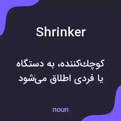 معنی shrinker به فارسی معنی shrinker به فارسی