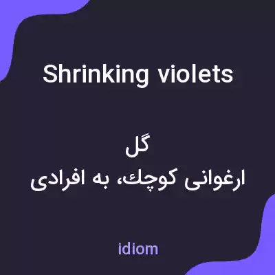 معنی shrinking violets به فارسی معنی shrinking violets به فارسی