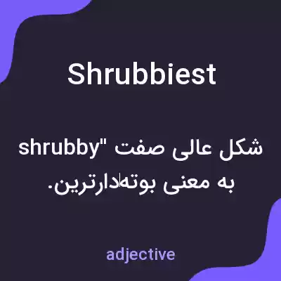 معنی shrubbiest به فارسی معنی shrubbiest به فارسی
