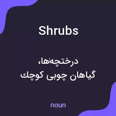 معنی shrubs به فارسی