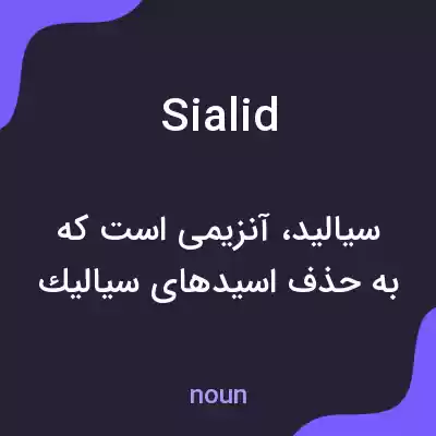 معنی sialid به فارسی معنی sialid به فارسی