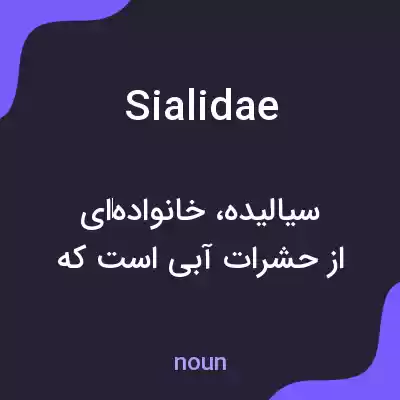 معنی sialidae به فارسی معنی sialidae به فارسی