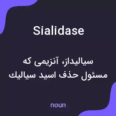 معنی sialidase به فارسی معنی sialidase به فارسی