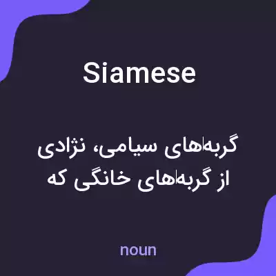 معنی siamese به فارسی معنی siamese به فارسی