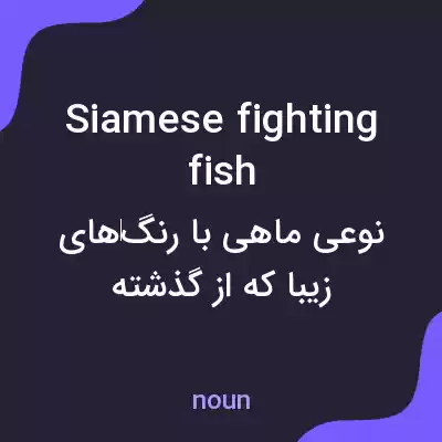 معنی siamese fighting fish به فارسی معنی siamese fighting fish به فارسی