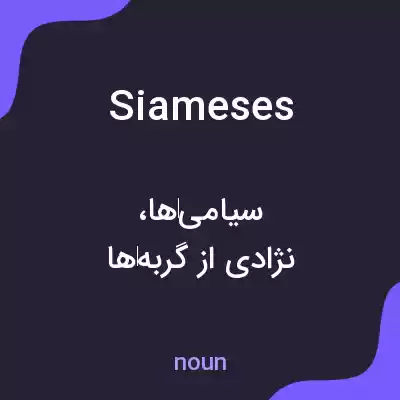 معنی siameses به فارسی معنی siameses به فارسی