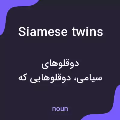معنی siamese twins به فارسی معنی siamese twins به فارسی