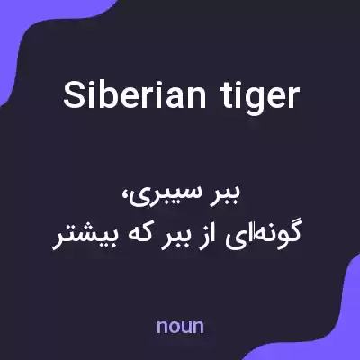 معنی siberian tiger به فارسی معنی siberian tiger به فارسی