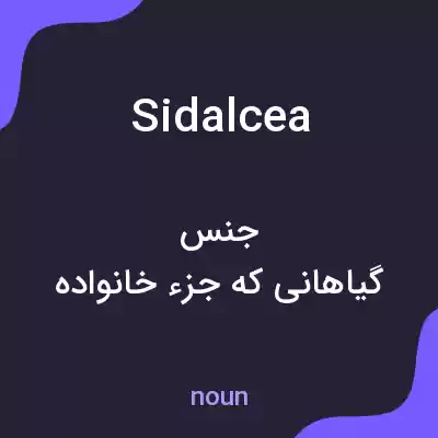 معنی sidalcea به فارسی