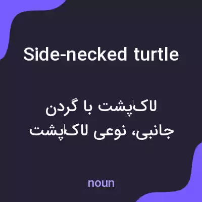 معنی side-necked turtle به فارسی معنی side-necked turtle به فارسی