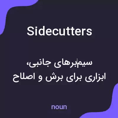 معنی sidecutters به فارسی معنی sidecutters به فارسی