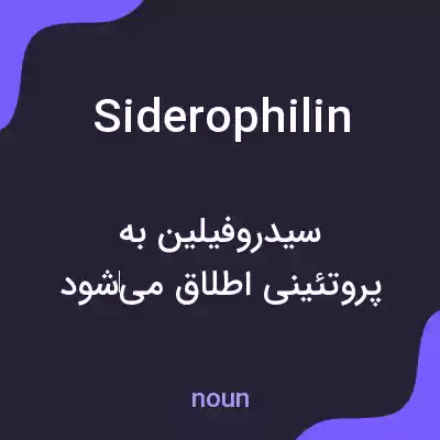 معنی siderophilin به فارسی معنی siderophilin به فارسی